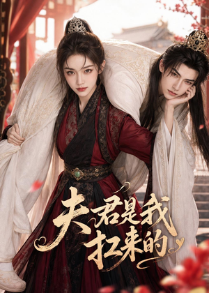 夫君是我扛来的(20集) 夫君是我扛来的(20集)短剧全剧终限免畅刷