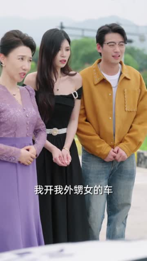 谁也别动我车(58集) 谁也别动我车(58集)短剧完结全集限免刷