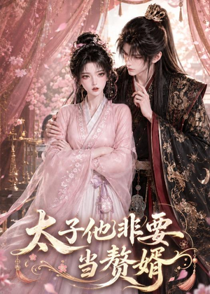 太子他非要当赘婿（31集）这个短剧最近超火