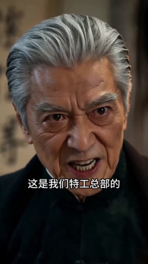 谍影暗刺(80集) 谍影暗刺(80集)短剧大结局连更全集