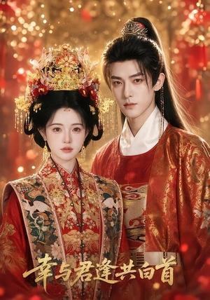 幸与君逢共白首(79集) 幸与君逢共白首(79集)爆款短剧正在热播