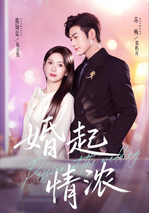 婚起情浓(99集) 婚起情浓(99集)古装短剧热门推荐