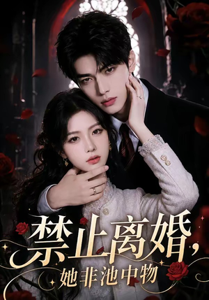 禁止离婚，她非池中物（144集）万里归乡短剧精彩剧情